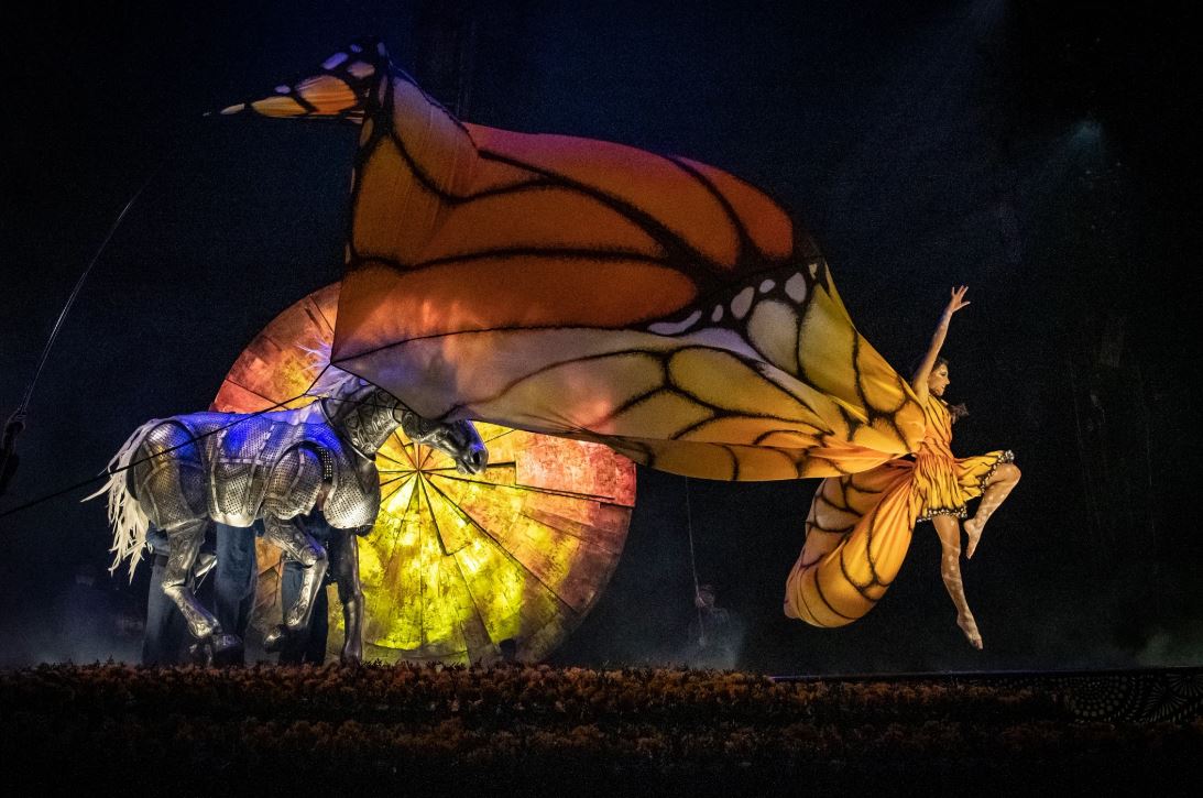 Le Cirque du Soleil de retour dans la région - TVA Gatineau